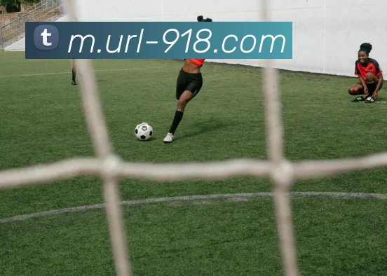 博天堂APP 封面图